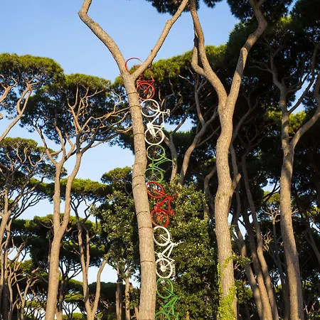 Il Mulinaccio 호텔